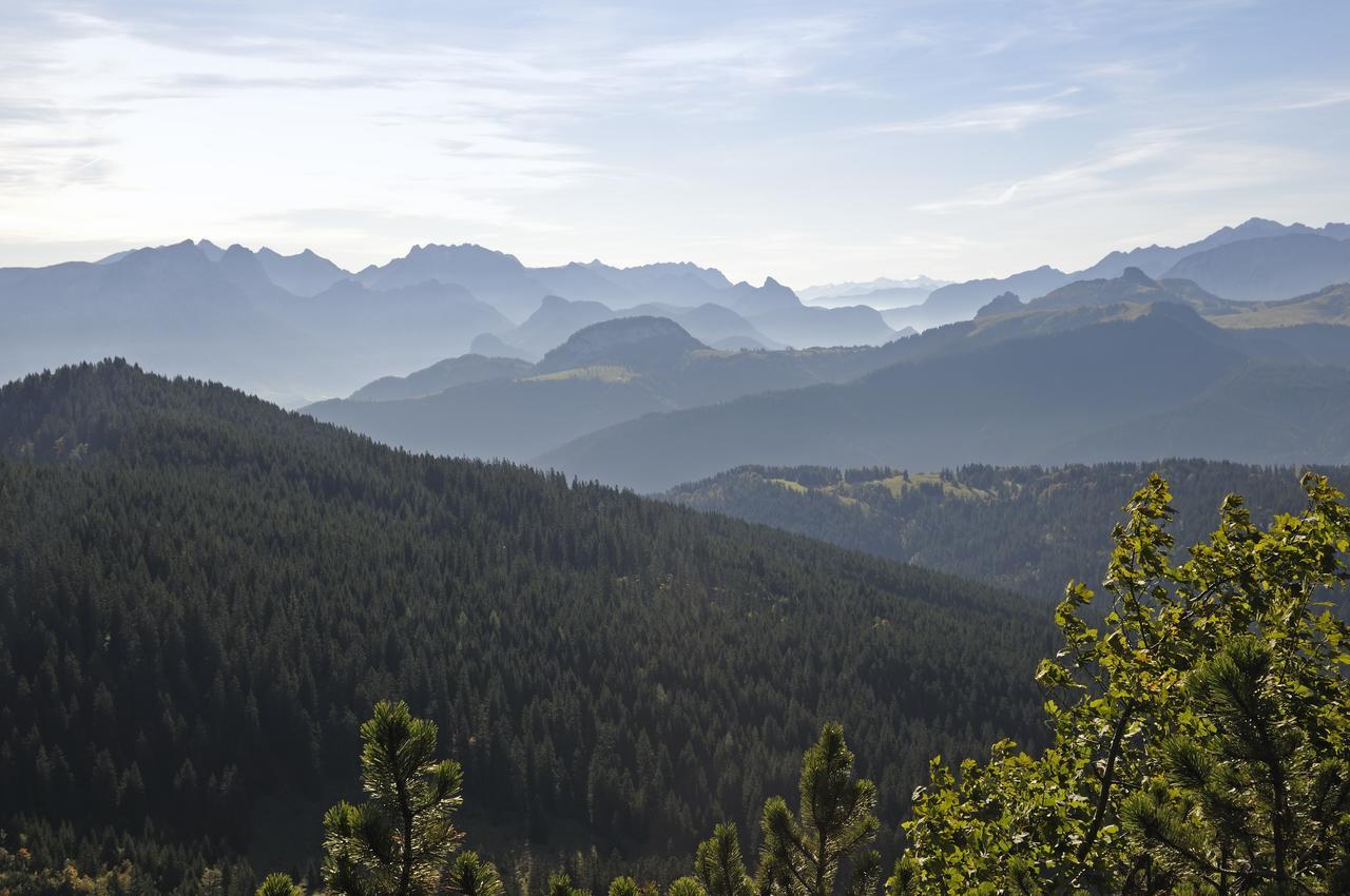 Mein Chalet Райт-им-Винкль Экстерьер фото